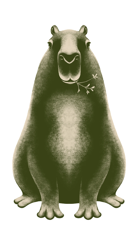 Happy Caapi capybara — calm, adapted, present